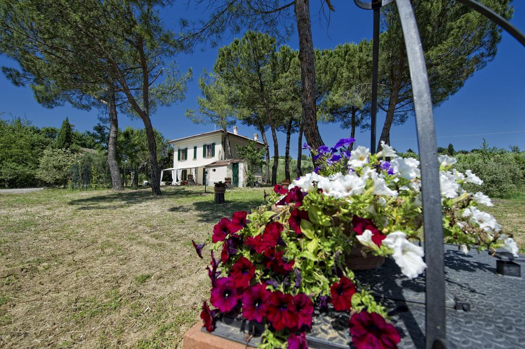 Villa Tancredi Foiano Della Chiana Dış mekan fotoğraf