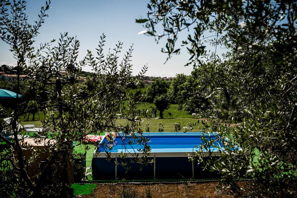 Villa Tancredi Foiano Della Chiana Dış mekan fotoğraf